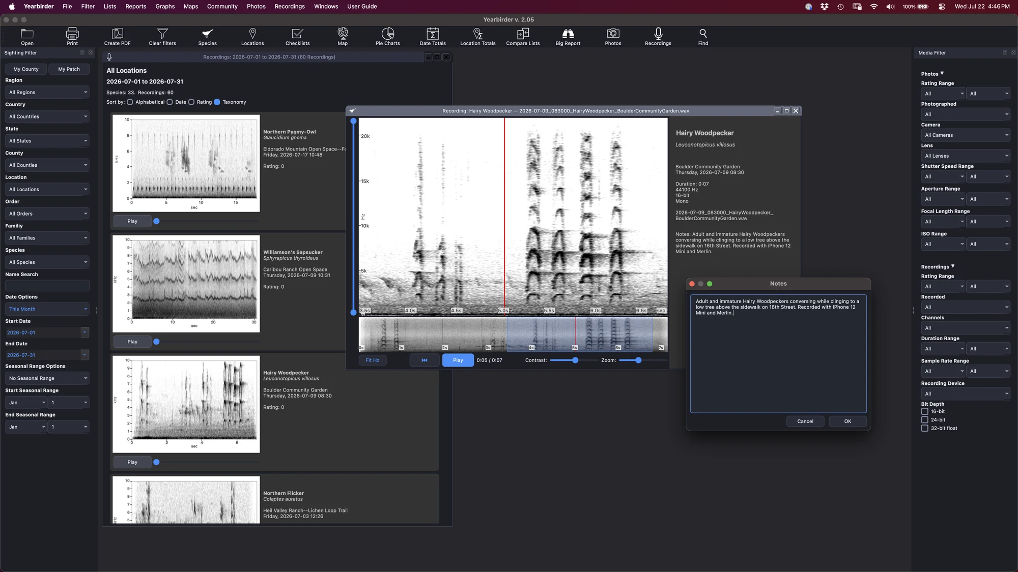 Yearbirder Recordings browser showing spectrogram cards with playback controls