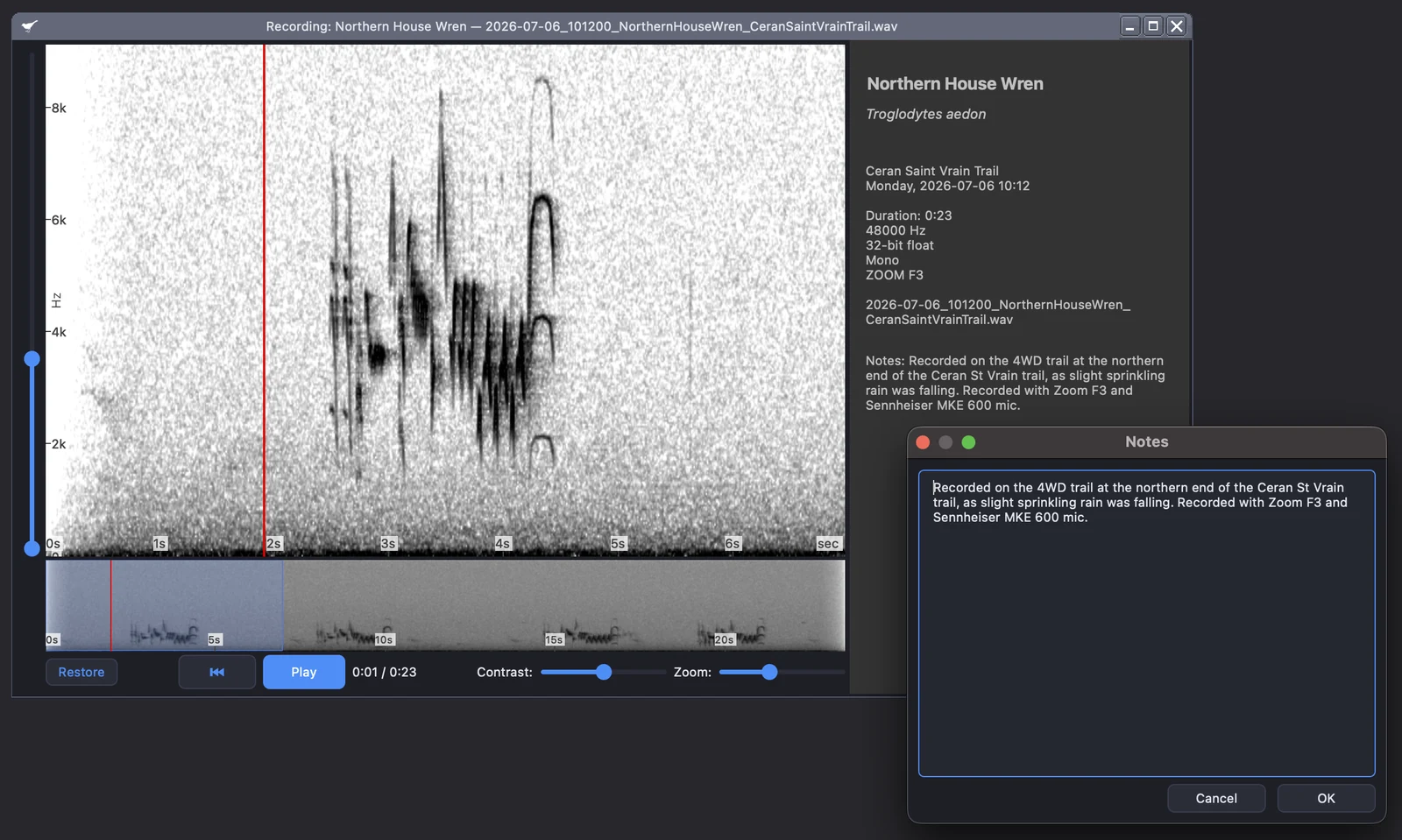 Yearbirder recording enlargement with a large spectrogram and playback cursor